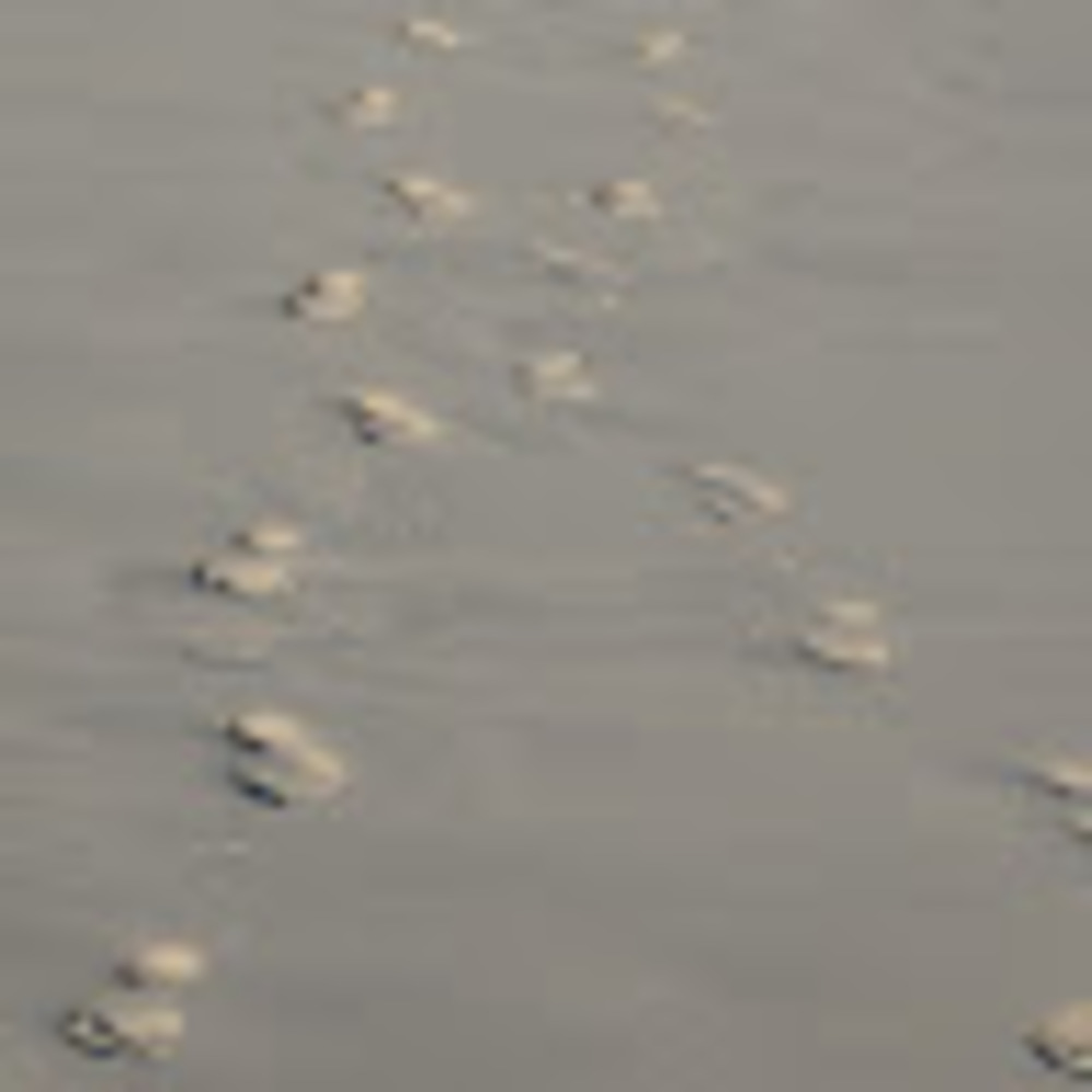 Meet your Posher, Wendy